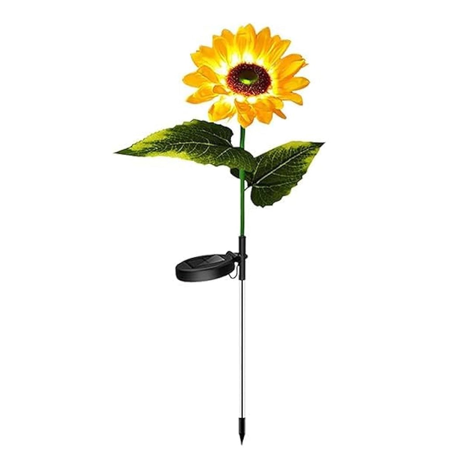 Warm Bloom LED Warm Bloom LED